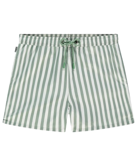 Pockies Zwemshort Thyme Striped